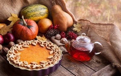 Vegan Thanksgiving Events in South Florida