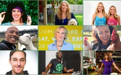 SoFlo Vegans Virtual EXPO Goes Nationwide on Friday, April 24, 2020.
