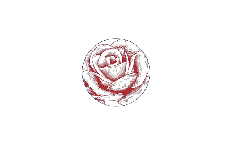 The Modern Rose (VF)
