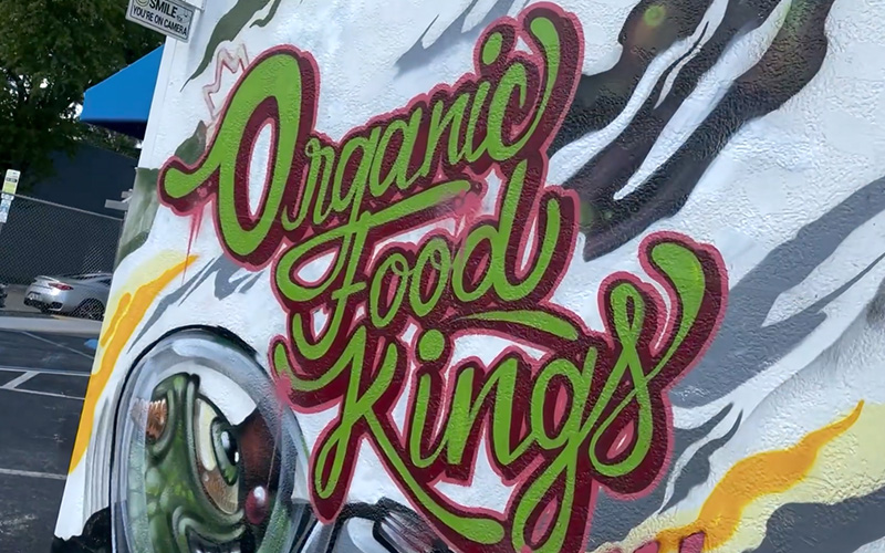 Organic Food Kings