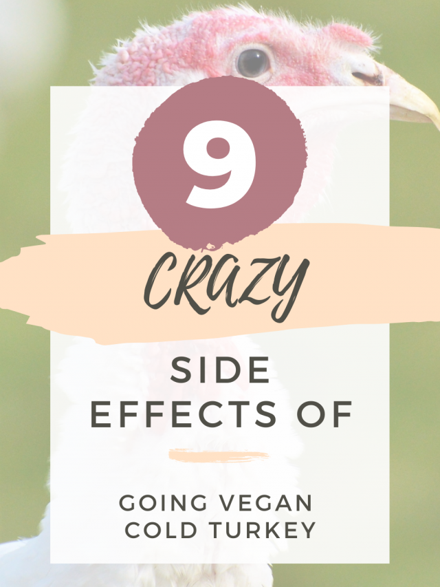9 CRAZY Things That Happen When You Go Vegan