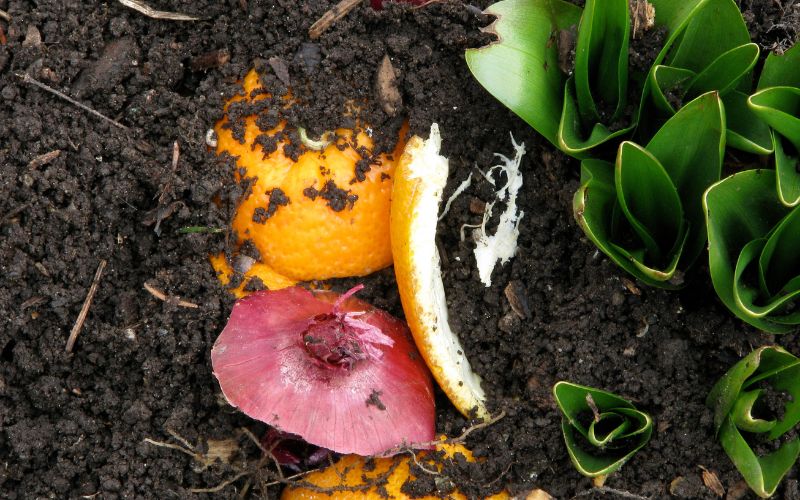 3 Beginner Tips for Speeding Up Composting