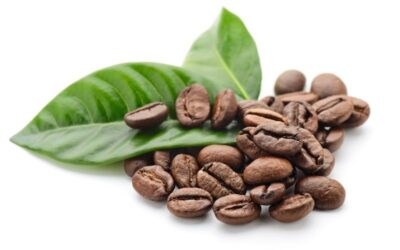 Fun Facts You Didn’t Know About Coffee Beans