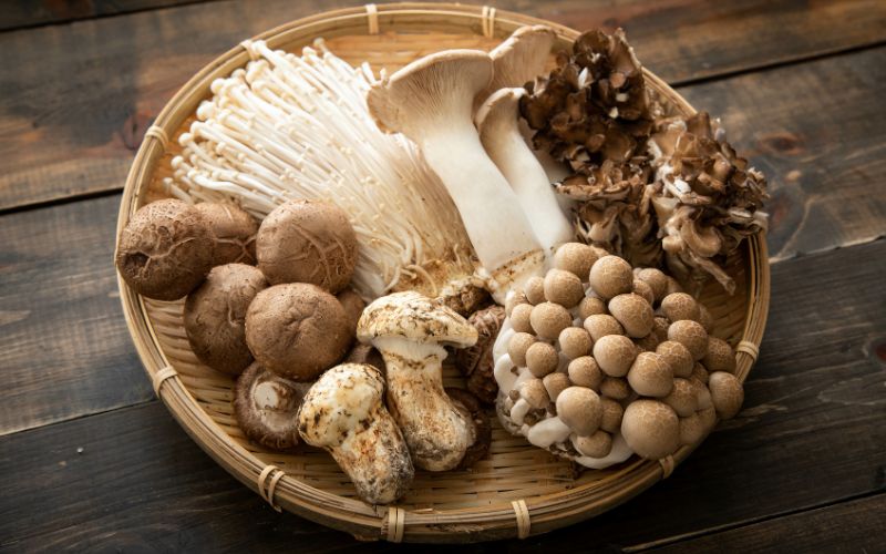 6 Fun Facts You Didn’t Know About Mushrooms